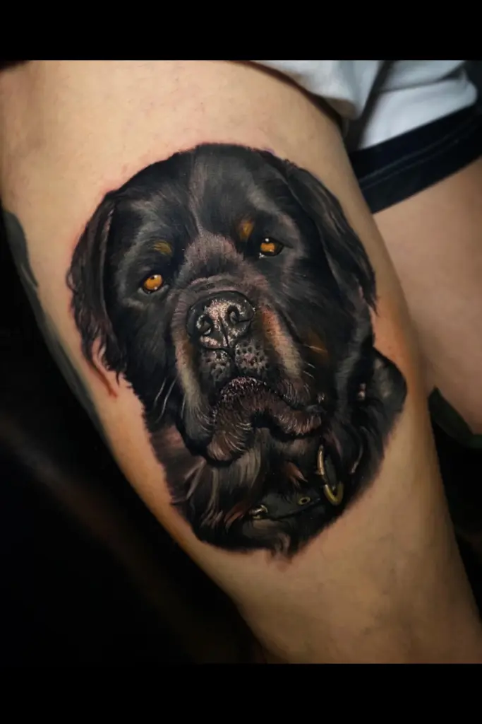 Rottweiler portrait tattoo by Pablo Frias